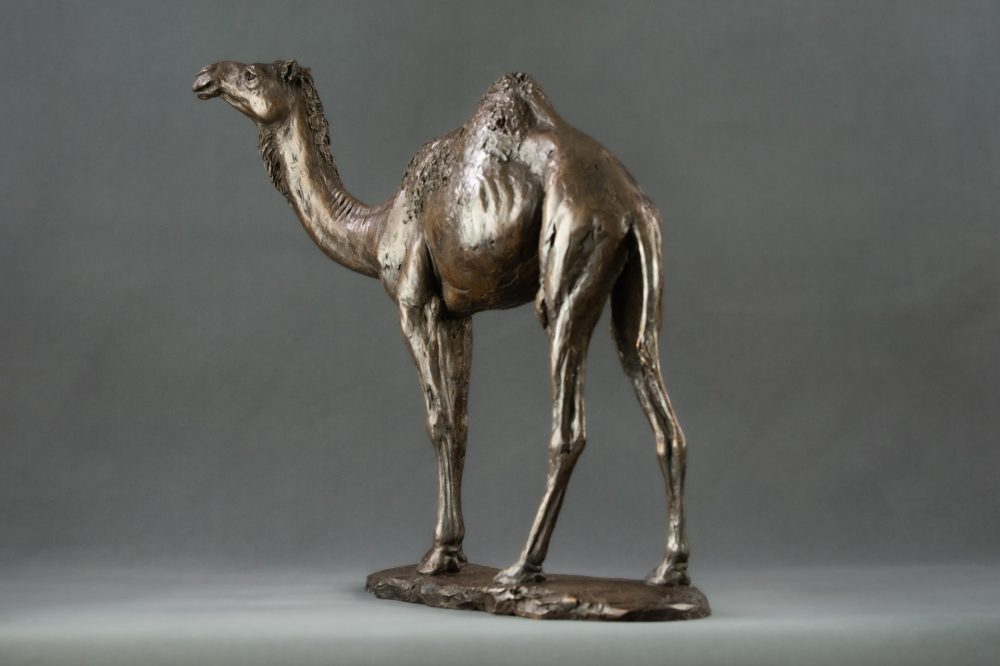 'Camel' Bronze Camel, Camel Sculpture, Camel Statue, Bronze Resin, Tanya Russell Sculptures-3
