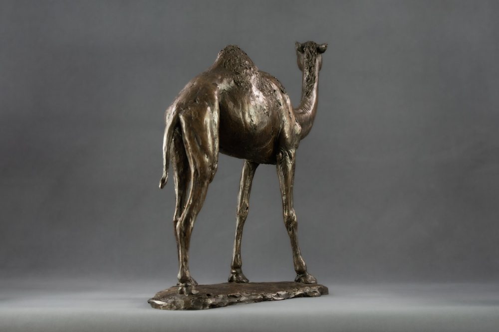 'Camel' Bronze Camel, Camel Sculpture, Camel Statue, Bronze Resin, Tanya Russell Sculptures-4