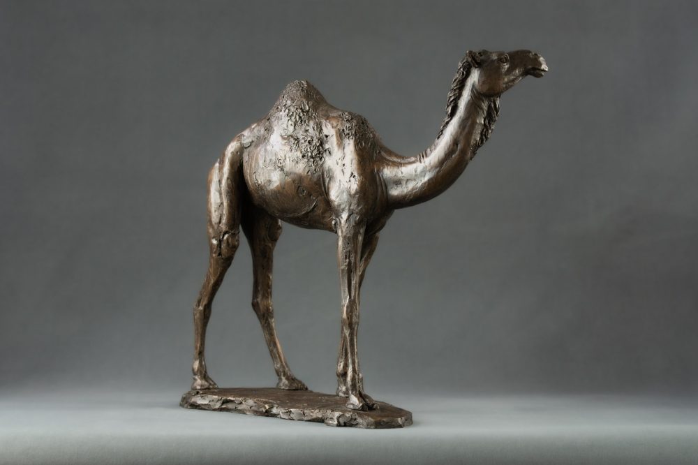 'Camel' Bronze Camel, Camel Sculpture, Camel Statue, Bronze Resin, Tanya Russell Sculptures-6