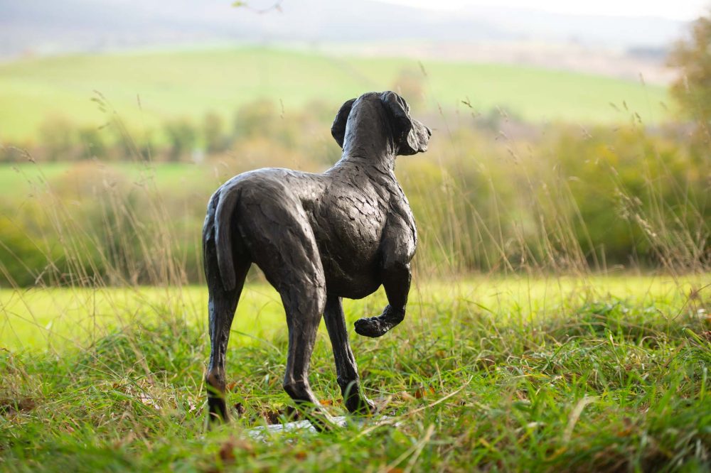 'Pointing Weimaraner' Bronze Dog, Weimaraner Sculpture, Weimaraner Statue, Bronze Resin, Tanya Russell Dog Sculptures-10