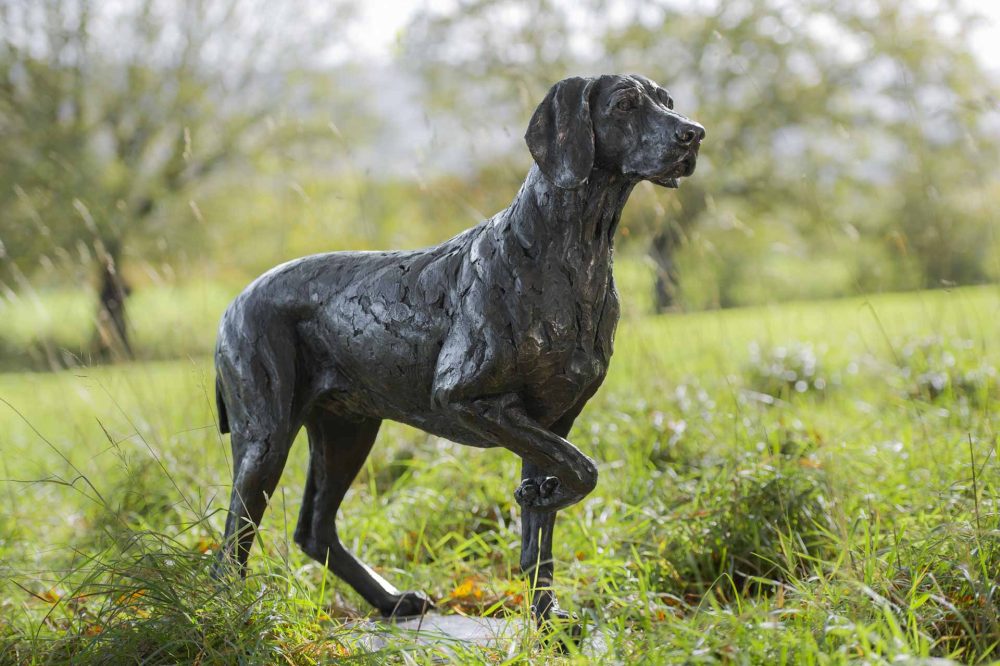 'Pointing Weimaraner' Bronze Dog, Weimaraner Sculpture, Weimaraner Statue, Bronze Resin, Tanya Russell Dog Sculptures-6