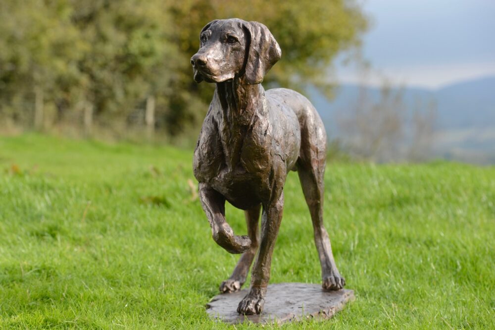 'Pointing Weimaraner' Bronze Dog, Weimaraner Sculpture, Weimaraner Statue, Foundry Bronze Metal, Tanya Russell Dog Sculptures