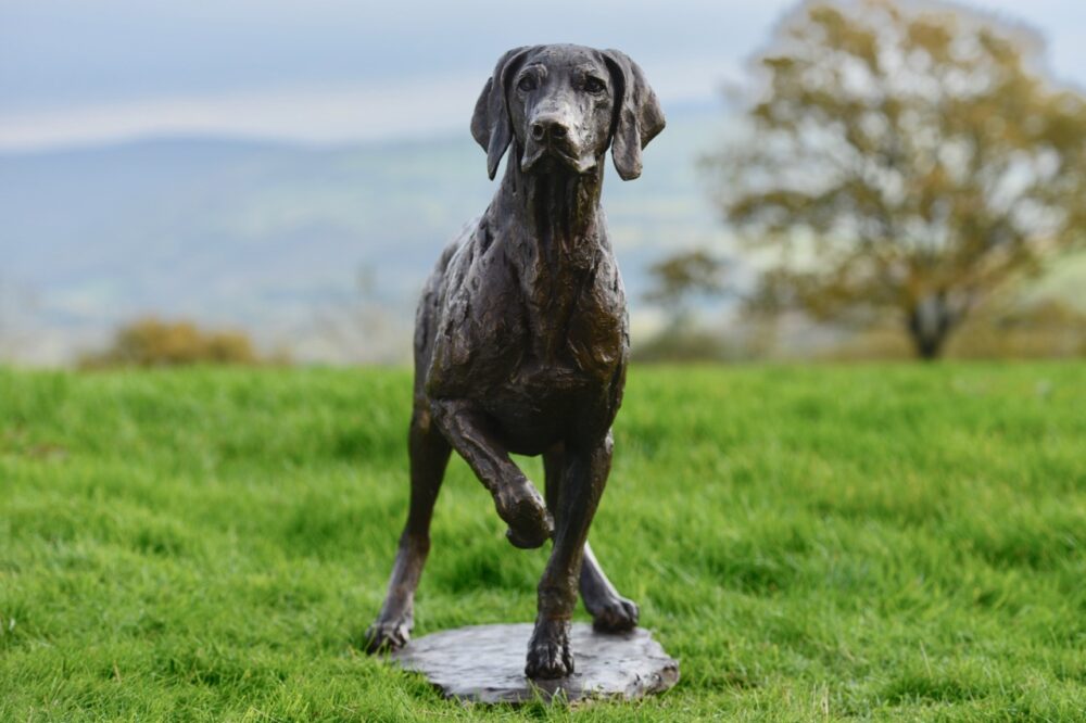'Pointing Weimaraner' Bronze Dog, Weimaraner Sculpture, Weimaraner Statue, Foundry Bronze Metal, Tanya Russell Dog Sculptures