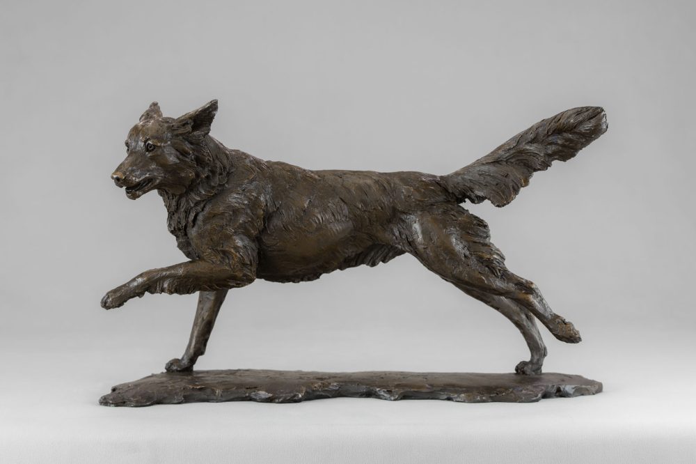 1 BRONZE RESIN - 'Running Nova Scotia Duck Tolling Retriever', Bronze Dog, Dog Sculpture, Dog Statue, Bronze Resin Tanya Russell Animal Sculptures (1 of 20)