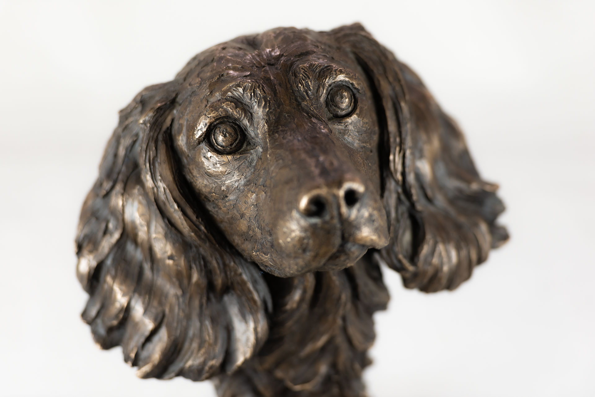 Spaniel Portrait 1 sculpture by Tanya Russell | Spaniel Head statue