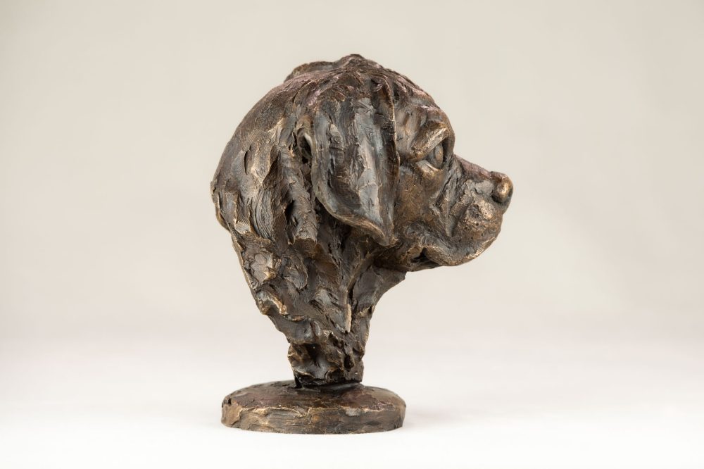 6 BRONZE RESIN - 'Puggle Portrait' BR, Bronze Dog, Dog Sculpture, Dog Statue, Bronze Resin, Tanya Russell Animal Sculptures (10 of 18)