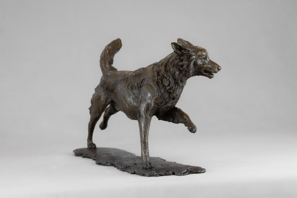 7 BRONZE RESIN - 'Running Nova Scotia Duck Tolling Retriever', Bronze Dog, Dog Sculpture, Dog Statue, Bronze Resin Tanya Russell Animal Sculptures (10 of 20)