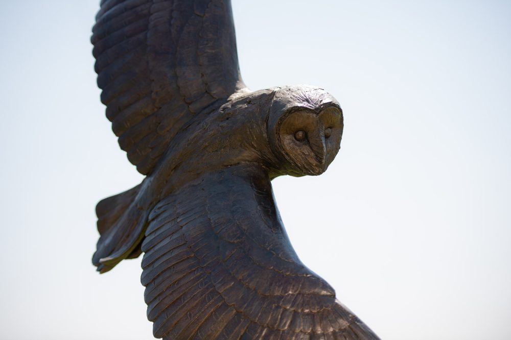11 'Flying Owl' BR, Bronze Owl, Owl Sculpture, Owl Statue, Bronze Resin, Tanya Russell Animal Sculptures (2 of 21)