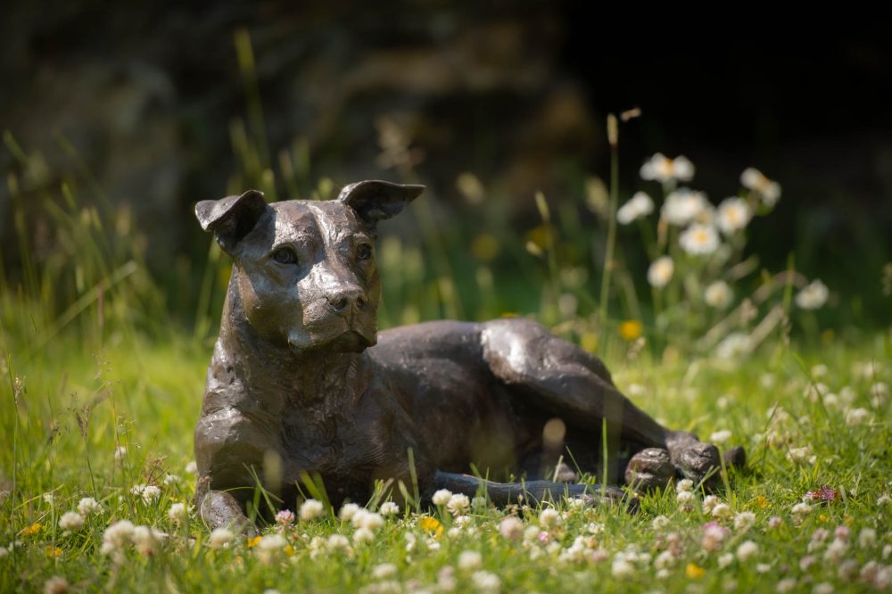 1 ''Lying Stafford Bull Terrier-, Bronze Dog, Dog Sculpture, Dog Statue, Bronze Resin, Tanya Russell Animal Sculptures (23 of 23)