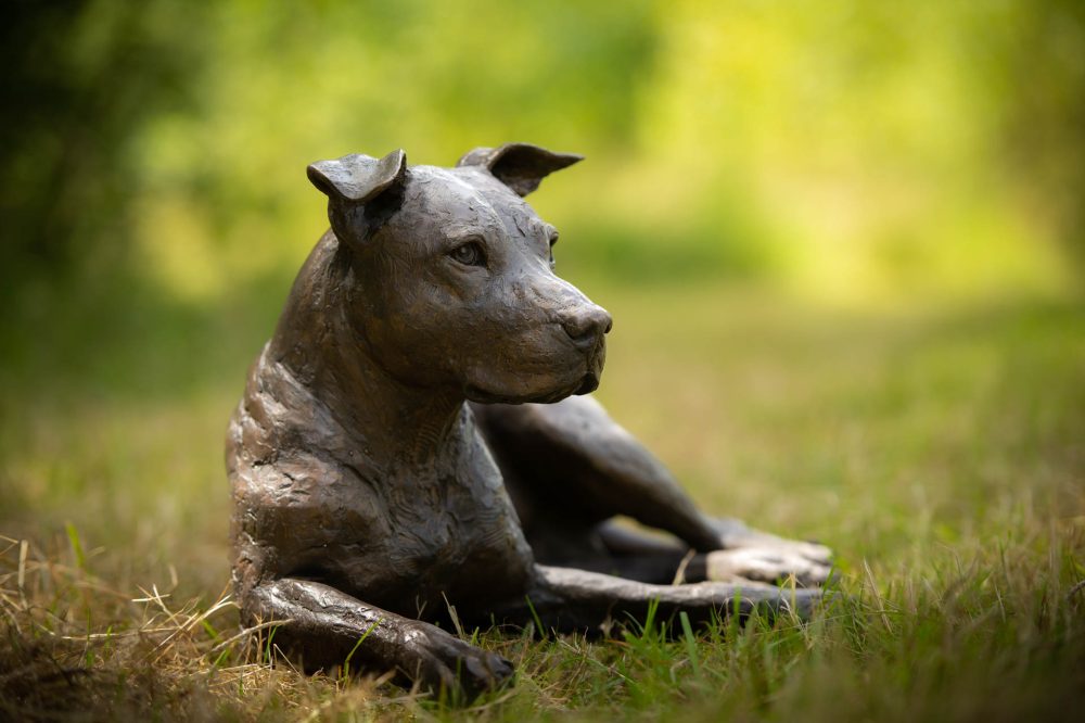 2 ''Lying Stafford Bull Terrier-, Bronze Dog, Dog Sculpture, Dog Statue, Bronze Resin, Tanya Russell Animal Sculptures (22 of 23)