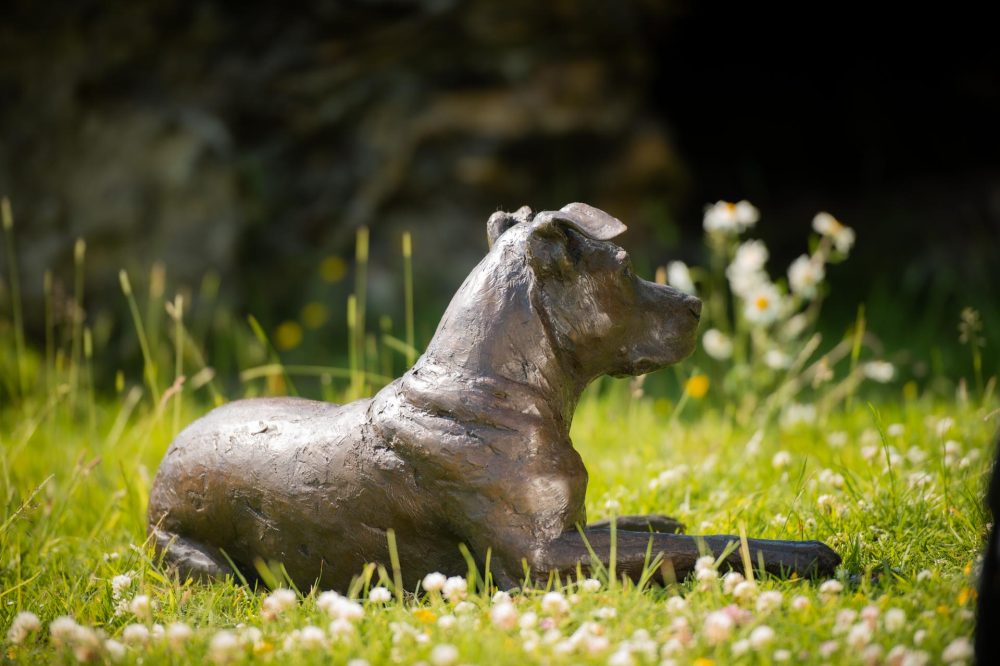 4 ''Lying Stafford Bull Terrier-, Bronze Dog, Dog Sculpture, Dog Statue, Bronze Resin, Tanya Russell Animal Sculptures (6 of 23)