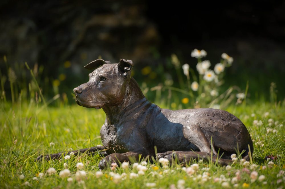 7 ''Lying Stafford Bull Terrier-, Bronze Dog, Dog Sculpture, Dog Statue, Bronze Resin, Tanya Russell Animal Sculptures (3 of 23)