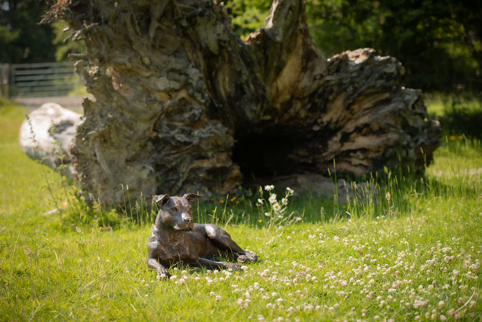 bronze sitting longhaired cat sculpture