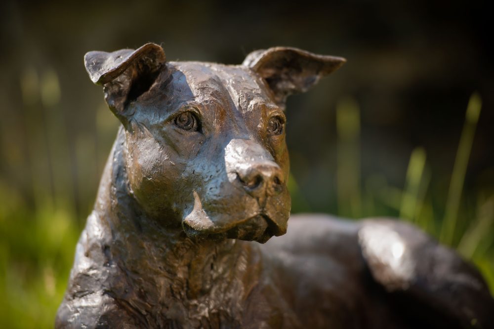 9 ''Lying Stafford Bull Terrier-, Bronze Dog, Dog Sculpture, Dog Statue, Bronze Resin, Tanya Russell Animal Sculptures (13 of 23)