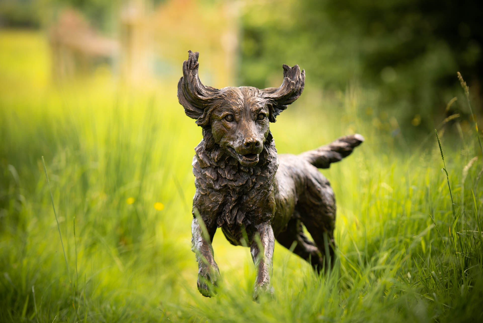 running cocker spaniel dog
