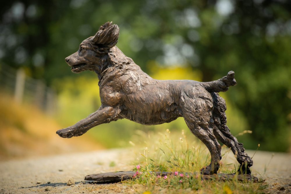 'Running Working Cocker Spaniel (Maggie)' Bronze Dog, Dog Sculpture, Dog Statue, Foundry Bronze Metal, Tanya Russell Animal Sculptures10_