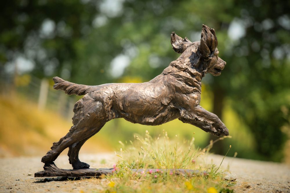 'Running Working Cocker Spaniel (Maggie)' Bronze Dog, Dog Sculpture, Dog Statue, Foundry Bronze Metal, Tanya Russell Animal Sculptures14_