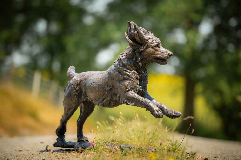 'Running Working Cocker Spaniel (Maggie)' Bronze Dog, Dog Sculpture, Dog Statue, Foundry Bronze Metal, Tanya Russell Animal Sculptures15_