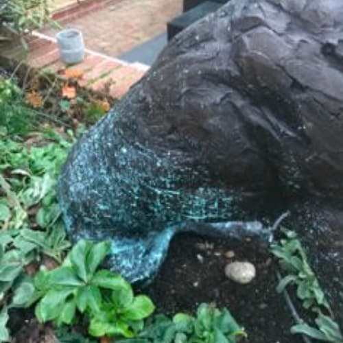 bad case of verdigris on statue