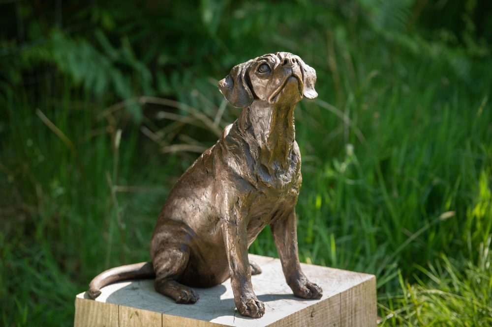 1 'Sitting Puggle' BR, Bronze Dog, Dog Sculpture, Dog Statue, Bronze Resin, Tanya Russell Animal Sculptures (14 of 22)
