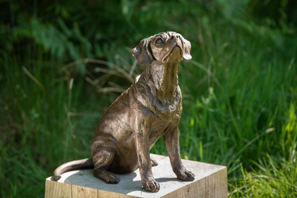 1 'Sitting Puggle' BR, Bronze Dog, Dog Sculpture, Dog Statue, Bronze Resin, Tanya Russell Animal Sculptures (14 of 22)