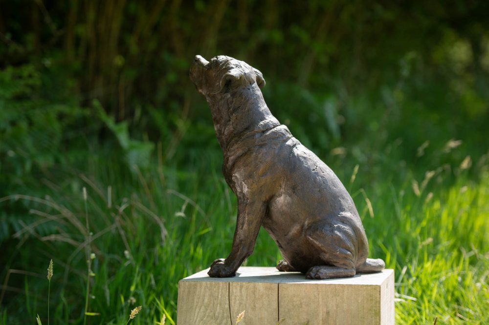 5 'Sitting Puggle' BR, Bronze Dog, Dog Sculpture, Dog Statue, Bronze Resin, Tanya Russell Animal Sculptures (18 of 22)