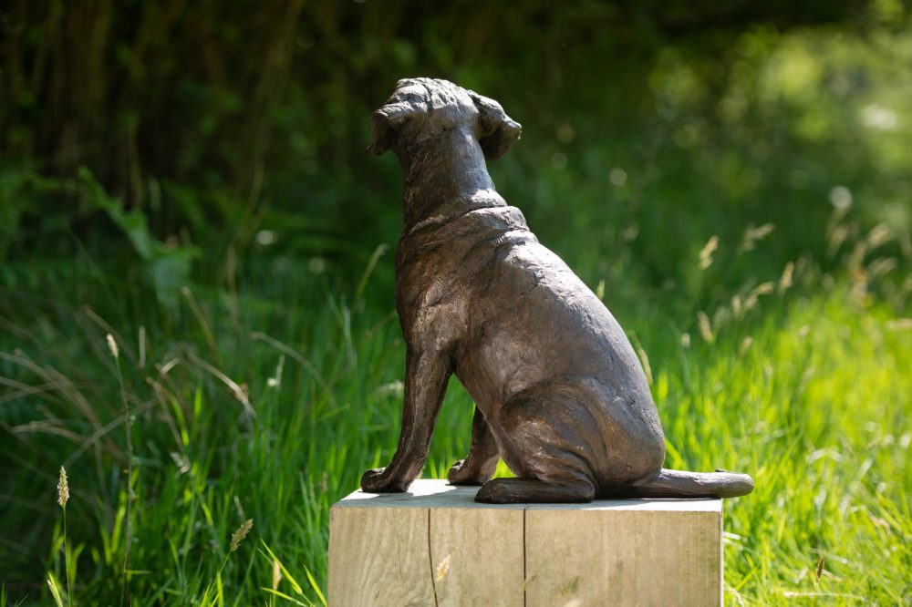 6 'Sitting Puggle' BR, Bronze Dog, Dog Sculpture, Dog Statue, Bronze Resin, Tanya Russell Animal Sculptures (19 of 22)