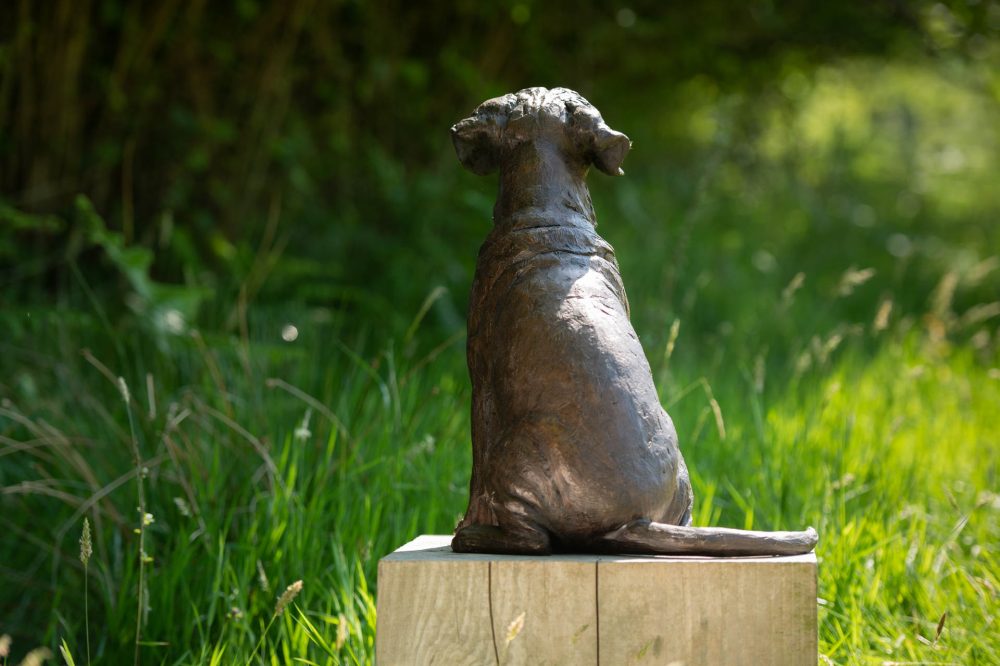7 'Sitting Puggle' BR, Bronze Dog, Dog Sculpture, Dog Statue, Bronze Resin, Tanya Russell Animal Sculptures (20 of 22)