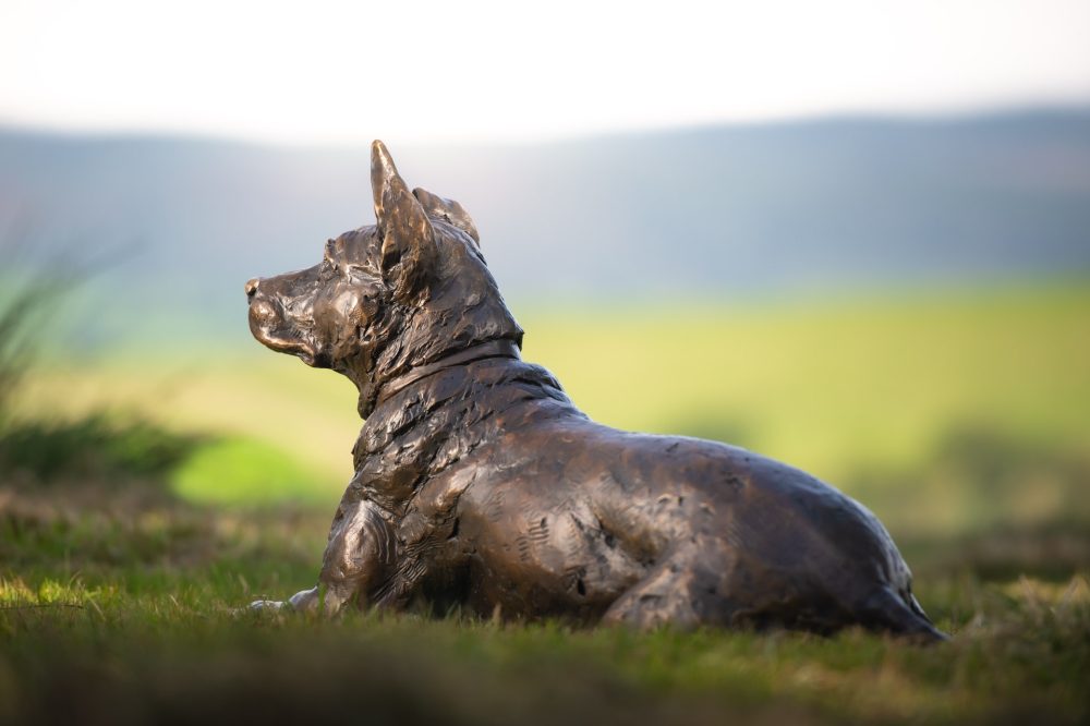 10 Lying Crossbreed Dog with Ball, Dog Statue, Lying Mixed Breed Dog, Foundry Bronze Metal, Tanya Russell Animal Sculptures (4 of 16)