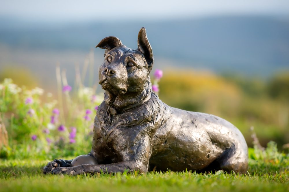 2 'Lying Crossbreed Dog with Ball, Rocky', Dog Sculpture, Bronze Dog, Bronze Resin, Tanya Russell Animal Sculptures-1 2 'Lying Crossbreed Dog with Ball, Rocky', Dog Sculpture, Bronze Dog, Bronze Resin, Tanya Russell Animal Sculptures-1
