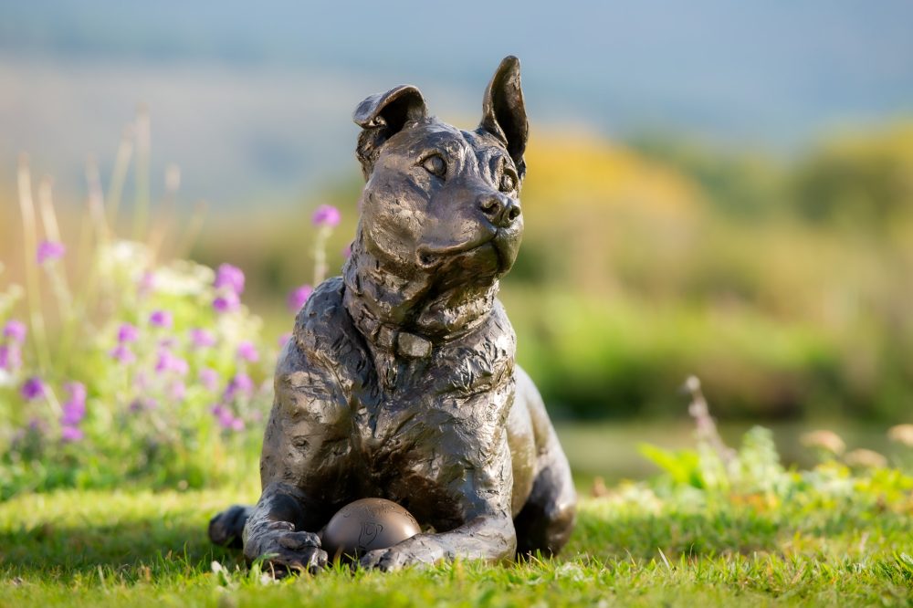 3 'Lying Crossbreed Dog with Ball, Rocky', Dog Sculpture, Bronze Dog, Bronze Resin, Tanya Russell Animal Sculptures-2 3 'Lying Crossbreed Dog with Ball, Rocky', Dog Sculpture, Bronze Dog, Bronze Resin, Tanya Russell Animal Sculptures-2