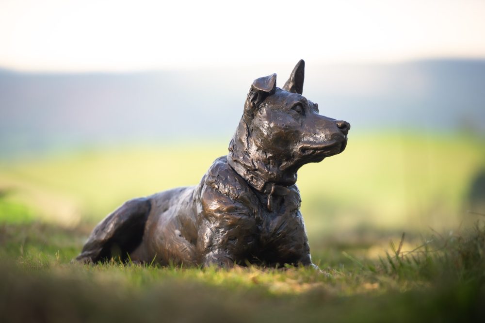 6 Lying Crossbreed Dog with Ball, Dog Statue, Lying Mixed Breed Dog, Foundry Bronze Metal, Tanya Russell Animal Sculptures (8 of 16)