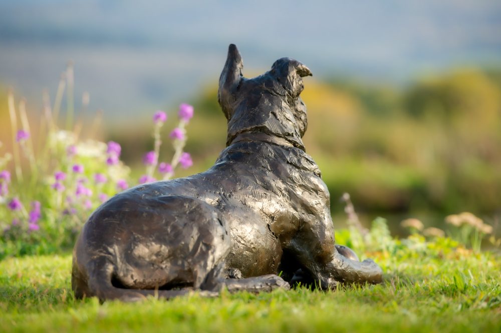 6 'Lying Crossbreed Dog with Ball, Rocky', Dog Sculpture, Bronze Dog, Bronze Resin, Tanya Russell Animal Sculptures-5 6 'Lying Crossbreed Dog with Ball, Rocky', Dog Sculpture, Bronze Dog, Bronze Resin, Tanya Russell Animal Sculptures-5