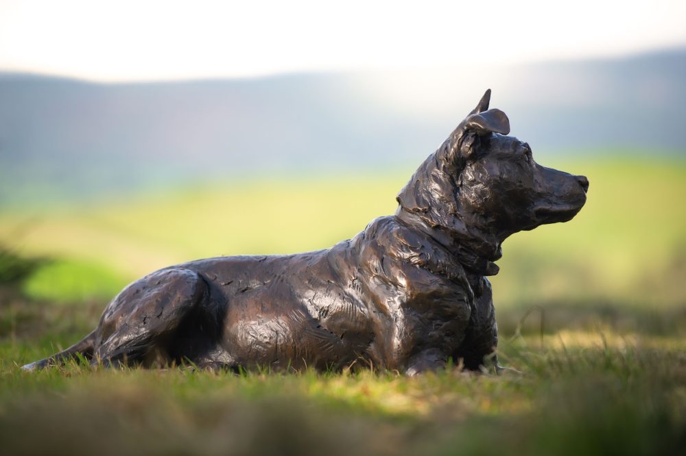 7 Lying Crossbreed Dog with Ball, Dog Statue, Lying Mixed Breed Dog, Foundry Bronze Metal, Tanya Russell Animal Sculptures (7 of 16)