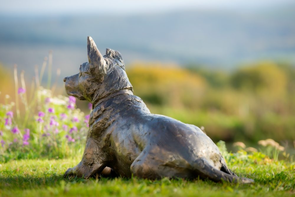 7 'Lying Crossbreed Dog with Ball, Rocky', Dog Sculpture, Bronze Dog, Bronze Resin, Tanya Russell Animal Sculptures-6 7 'Lying Crossbreed Dog with Ball, Rocky', Dog Sculpture, Bronze Dog, Bronze Resin, Tanya Russell Animal Sculptures-6
