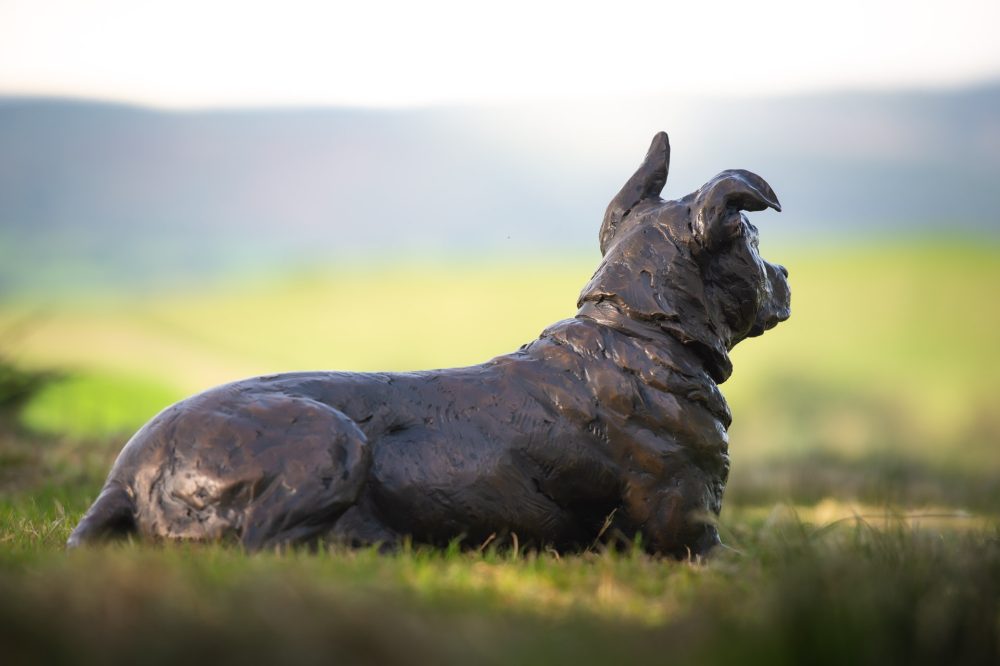 8 Lying Crossbreed Dog with Ball, Dog Statue, Lying Mixed Breed Dog, Foundry Bronze Metal, Tanya Russell Animal Sculptures (6 of 16)