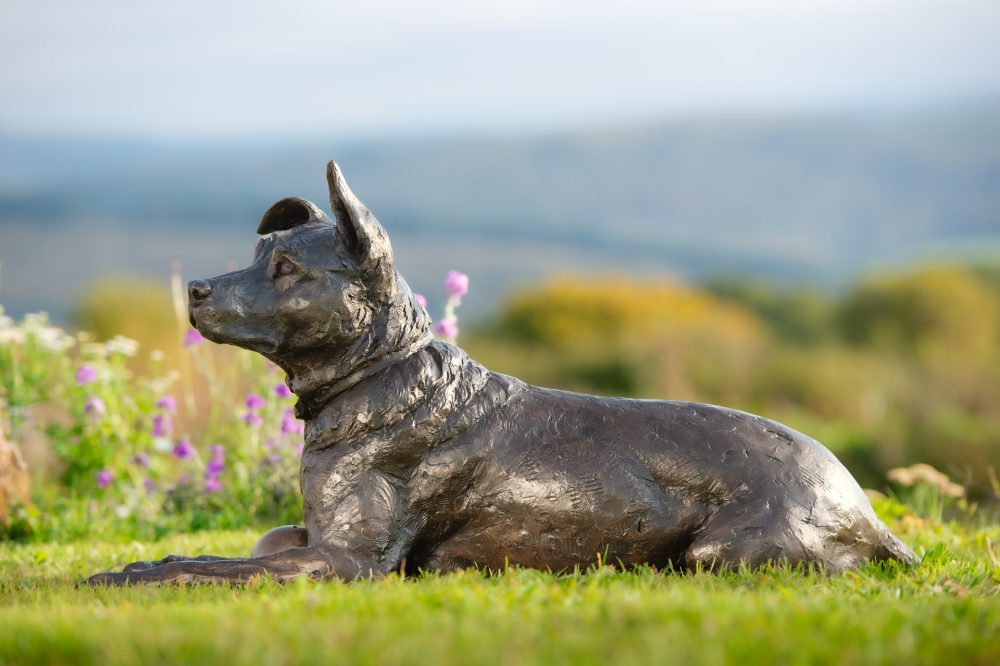 8 'Lying Crossbreed Dog with Ball, Rocky', Dog Sculpture, Bronze Dog, Bronze Resin, Tanya Russell Animal Sculptures-7 8 'Lying Crossbreed Dog with Ball, Rocky', Dog Sculpture, Bronze Dog, Bronze Resin, Tanya Russell Animal Sculptures-7
