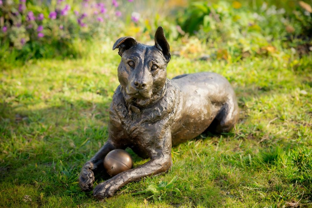 9 'Lying Crossbreed Dog with Ball, Rocky', Dog Sculpture, Bronze Dog, Bronze Resin, Tanya Russell Animal Sculptures-10 9 'Lying Crossbreed Dog with Ball, Rocky', Dog Sculpture, Bronze Dog, Bronze Resin, Tanya Russell Animal Sculptures-10