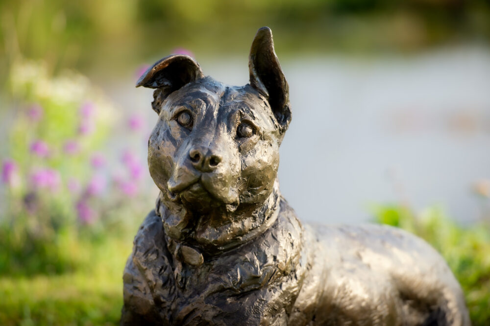 'Lying Crossbreed Dog with Ball, Rocky', Dog Sculpture, Bronze Dog, Bronze Resin, Tanya Russell Animal Sculptures-11