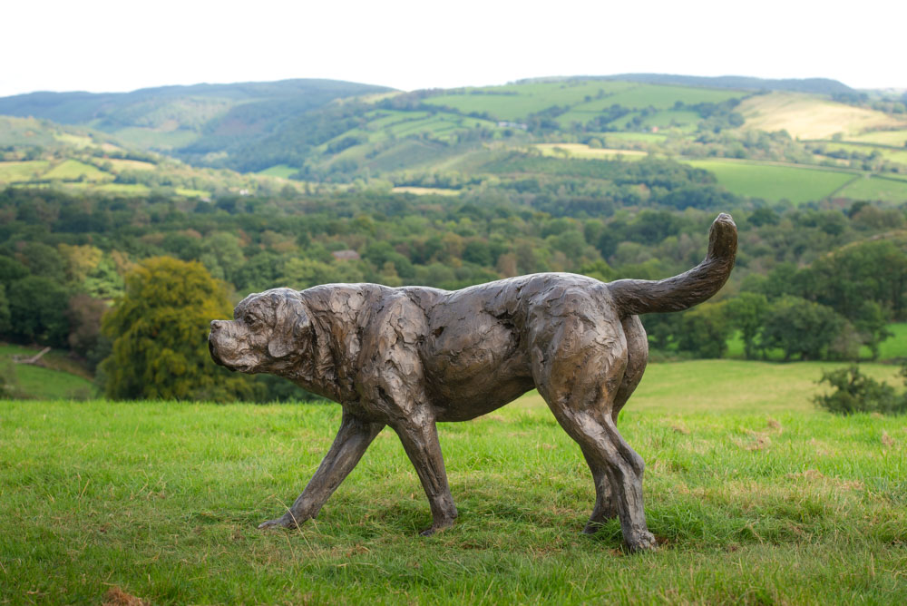 1 'Walking St Bernard', Bronze Dog, Dog Sculpture, Dog Statue, Bronze Resin Tanya Russell Animal Sculptures-17
