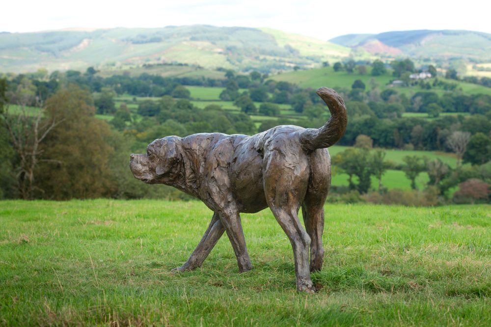 10 'Walking St Bernard', Bronze Dog, Dog Sculpture, Dog Statue, Bronze Resin Tanya Russell Animal Sculptures-19