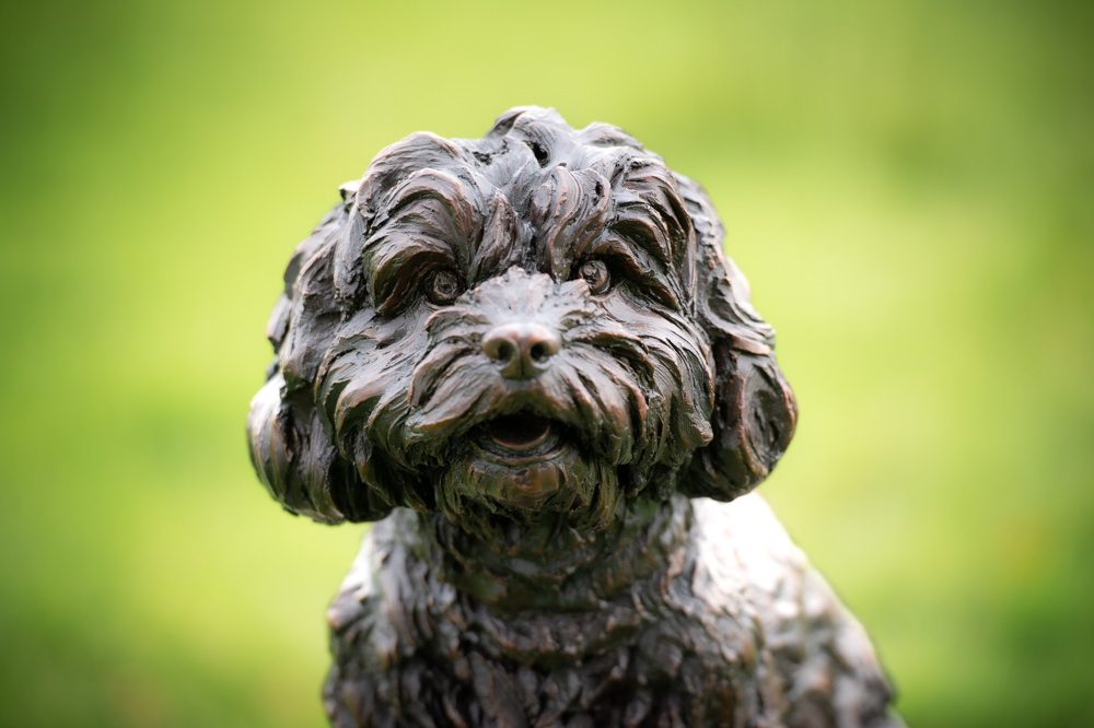 2 'Sitting Cavapoo-, Bronze Dog, Dog Sculpture, Dog Statue, Bronze Resin, Tanya Russell Animal Sculptures-10