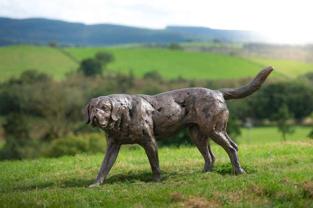 2 'Walking St Bernard', Bronze Dog, Dog Sculpture, Dog Statue, Bronze Resin Tanya Russell Animal Sculptures-1