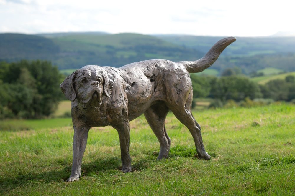 3 'Walking St Bernard', Bronze Dog, Dog Sculpture, Dog Statue, Bronze Resin Tanya Russell Animal Sculptures-3