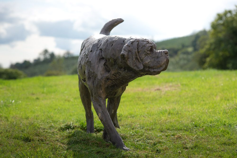 5 'Walking St Bernard', Bronze Dog, Dog Sculpture, Dog Statue, Bronze Resin Tanya Russell Animal Sculptures-6
