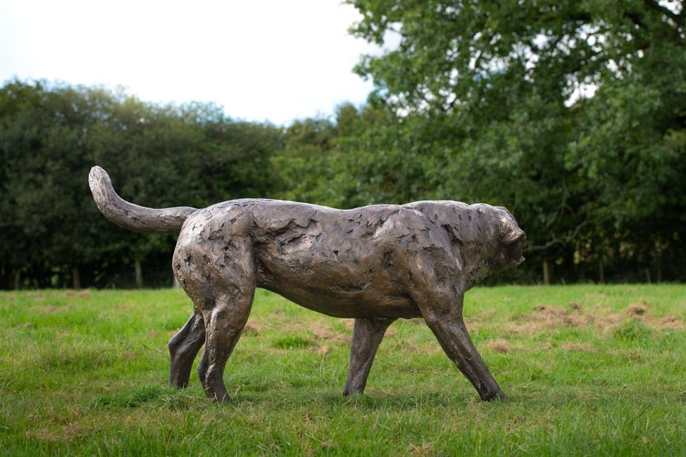 7 'Walking St Bernard', Bronze Dog, Dog Sculpture, Dog Statue, Bronze Resin Tanya Russell Animal Sculptures-10