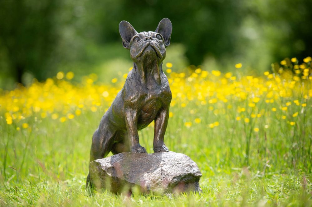 1 'Standing French Bulldog on Step'-, Bronze Dog, Dog Sculpture, Dog Statue, Bronze Resin, Tanya Russell Animal Sculptures-19