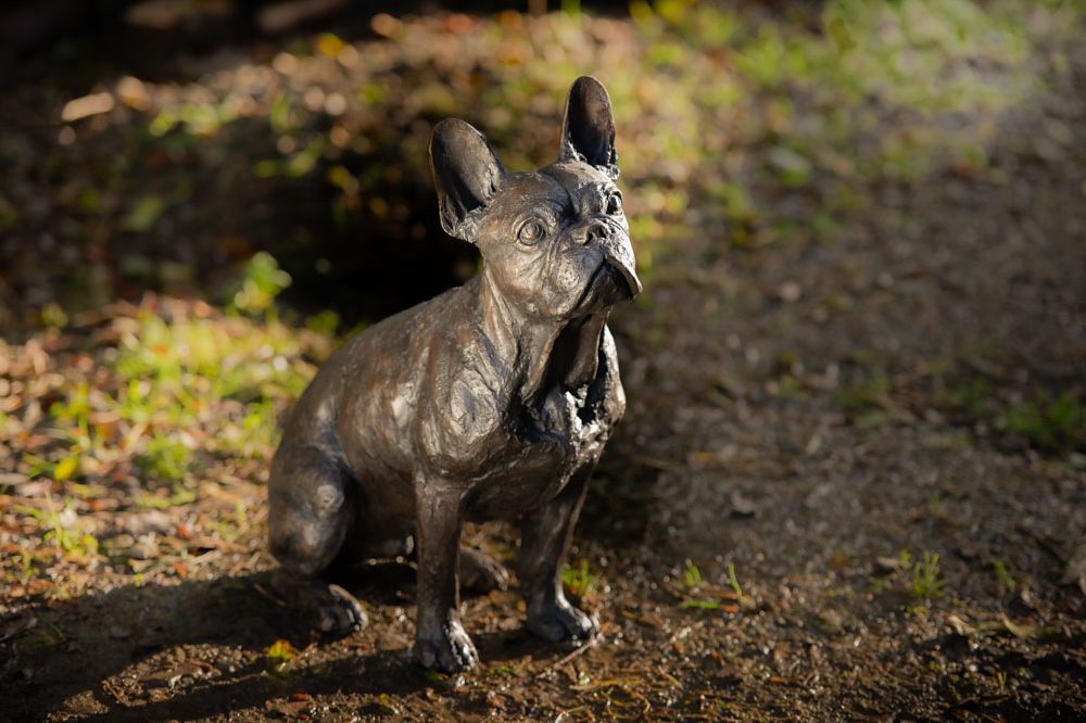 3 'French Bulldog', Bronze Dog, Dog Sculpture, Dog Statue, Bronze Resin Tanya Russell Animal Sculptures-8