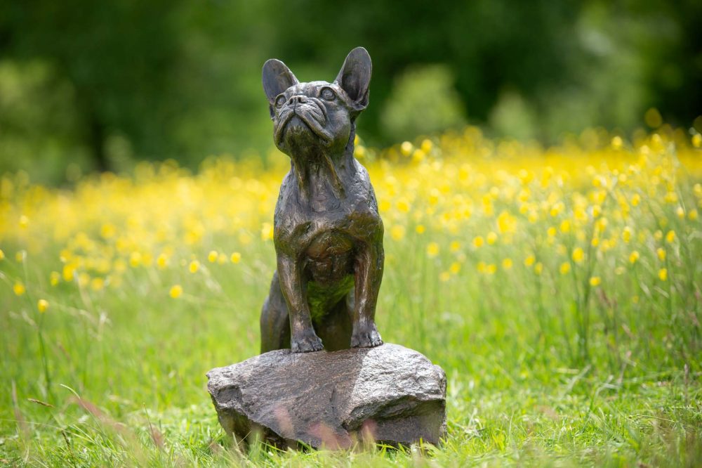 3 'Standing French Bulldog on Step'-, Bronze Dog, Dog Sculpture, Dog Statue, Bronze Resin, Tanya Russell Animal Sculptures-20