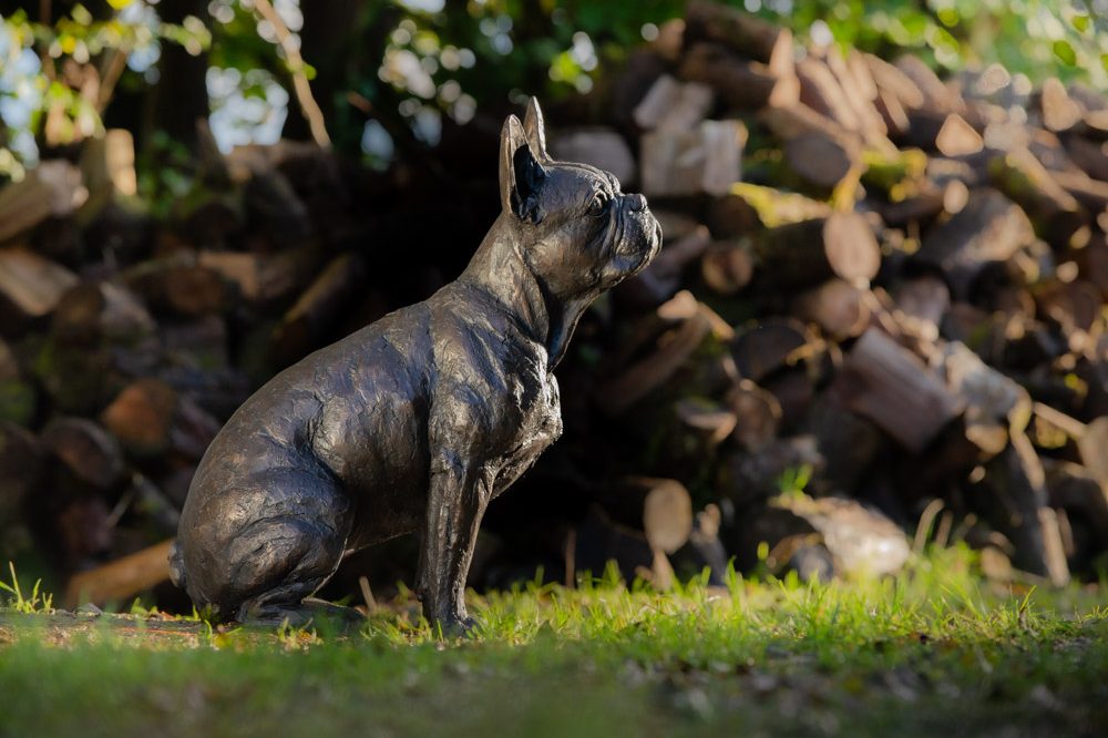 4 'French Bulldog', Bronze Dog, Dog Sculpture, Dog Statue, Bronze Resin Tanya Russell Animal Sculptures-6